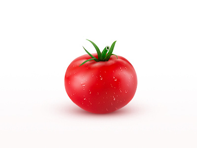 Tomato color fruit illustration