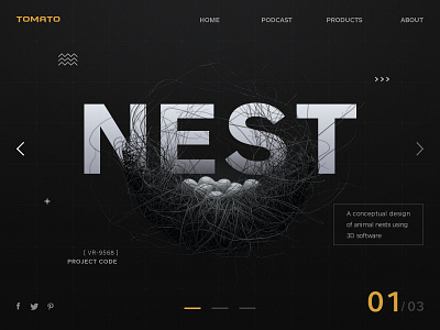 nest 3d illustration web