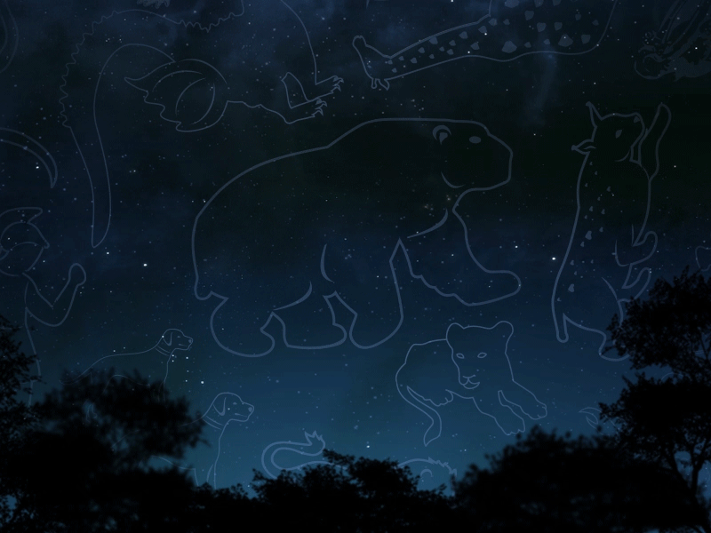 Constellation Animation [gif] animated bear constellation gif night sky stars ursa major