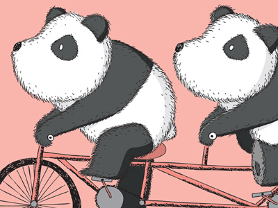 Panda Tandem bike illustration panda tandem