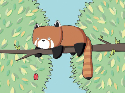 Red Panda animal cute illustration print red panda yoyo