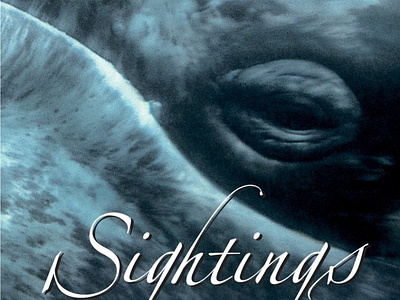 (EPUB)-Sightings: The Gray Whales' Mysterious Journey app book books branding design download ebook illustration logo ui
