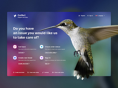 colibri background colibri design photoshop uidesign web webdesign website