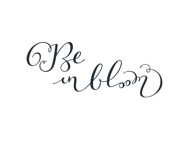 Barbara Aichinger | Dribbble