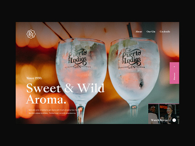 Puerto De Indias Gin Homepage Concept