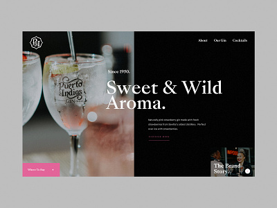 Puerto De Indias Gin Homepage Concept 2