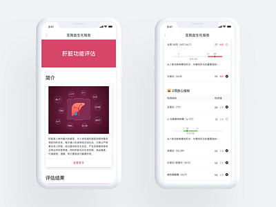 Meum Report - Routine Blood Test blood cards data design flat health html5 illustation index infographic minimal red routine science simple tables test ui ux white