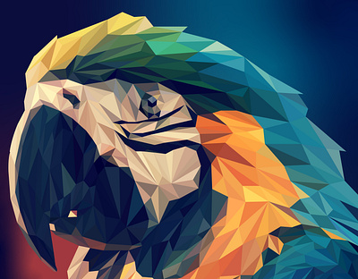 parrot poly art 3d animation app branding design graphic design illustration logo ui vector