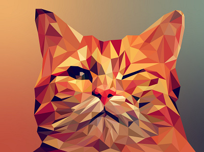 cat poly art 3d animation app branding design graphic design illustration logo ui vector