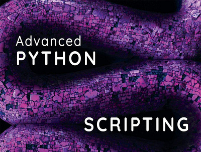 (EBOOK)-Advanced Python Scripting for ArcGIS Pro app book books branding design download ebook illustration logo ui