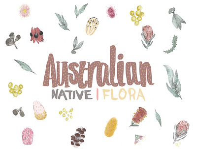 Australian Native Flora design graphic design illustration