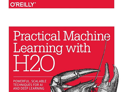 (EBOOK)-Practical Machine Learning with H2O: Powerful, Scalable app book books branding design download ebook illustration logo ui