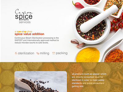 Landing page design for ceylonspices company