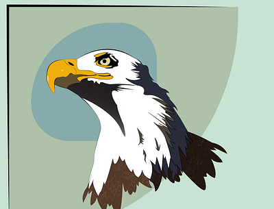 Soaring Eagle app branding design graphic design illustration logo typography ui ux vector