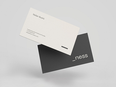 NESS branding font logo logotype minimal underscore ux