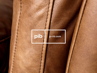 PIB identity logo