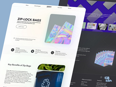 Zippy branding design minimal ui ux web
