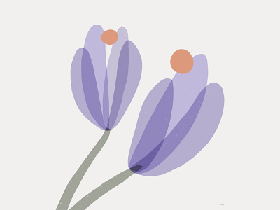 Crocus | Weekly Warm-Up crocus digital art dribbbleweeklywarmup flowers illustration minimalist procreate purple spring