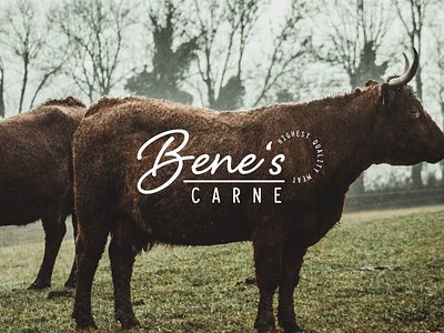 Bene's Carne Butcher Logo Design brand identity branding butcher butchery corporate identity cow design food graphic design logo meat visual identity