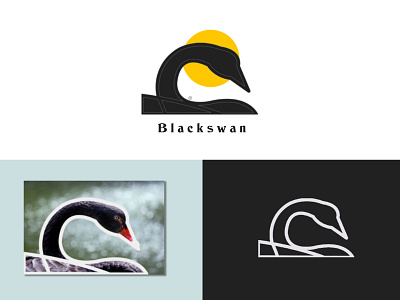 logo black swan app branding design graphic design illustration logo typography ui ux vector