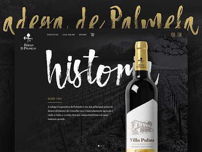 Winery Page Concept black white bottle drink gold history homepage shop vineyard website wine winery