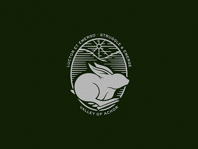 Rabbbit - Valley of Achor apparel badge crest emerge illustration marathon personal project rabbit running shirt speed sun valley