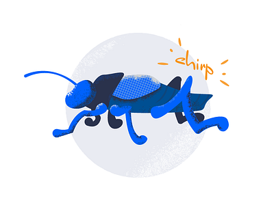 Cricket bug cricket illustration vector