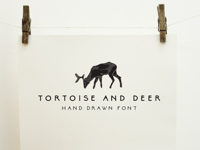 Tortoise and Deer Font font graphic design woodland