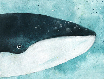 Book cover "Whalien 52 Hz" bookcover bookdesign bookillustration illustration illustrator kidsillustration whale whalien