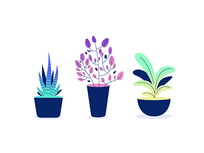 Plants