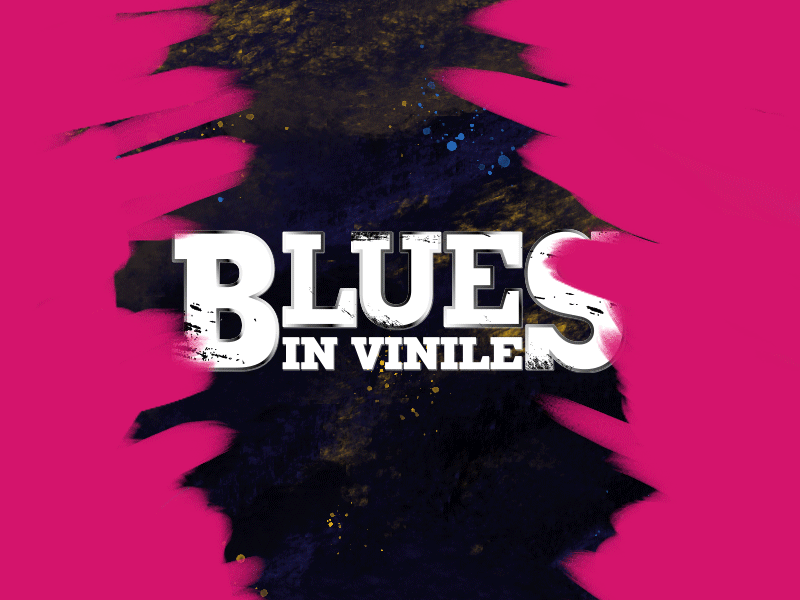 The Allman Brothers Band Vinyl animation blues illustration music vinyl