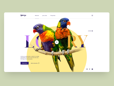 LORY | Landing page birds design green parrot ui ux web wildlife yellow