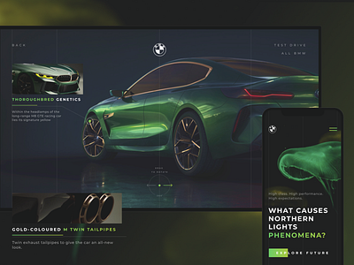 BMW | IN THE LIGHT OF NATURE design desktop mobile ui uiux ux web webdesign website wedesign