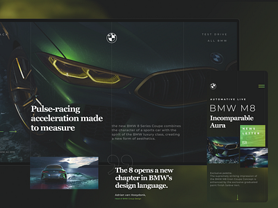 BMW | IN THE LIGHT OF NATURE desktop mobile ui uiux ux web webdesign website wedesign