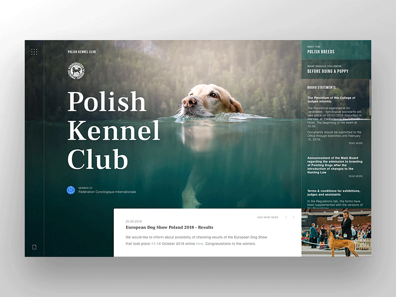 Polish Kennel Club website animation dog interface mondrianism navigation ui ux design website