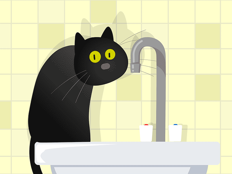 Thirsty cat adobe . animate animated . gif animation cat illustration charachter design motion art vector