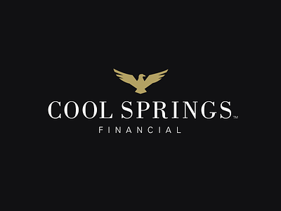 Cool Springs Financial cool springs design eagle financial icon identity logo