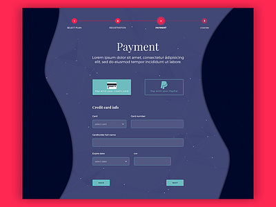 Credit card checkout credit card dailyui payment ui ux web