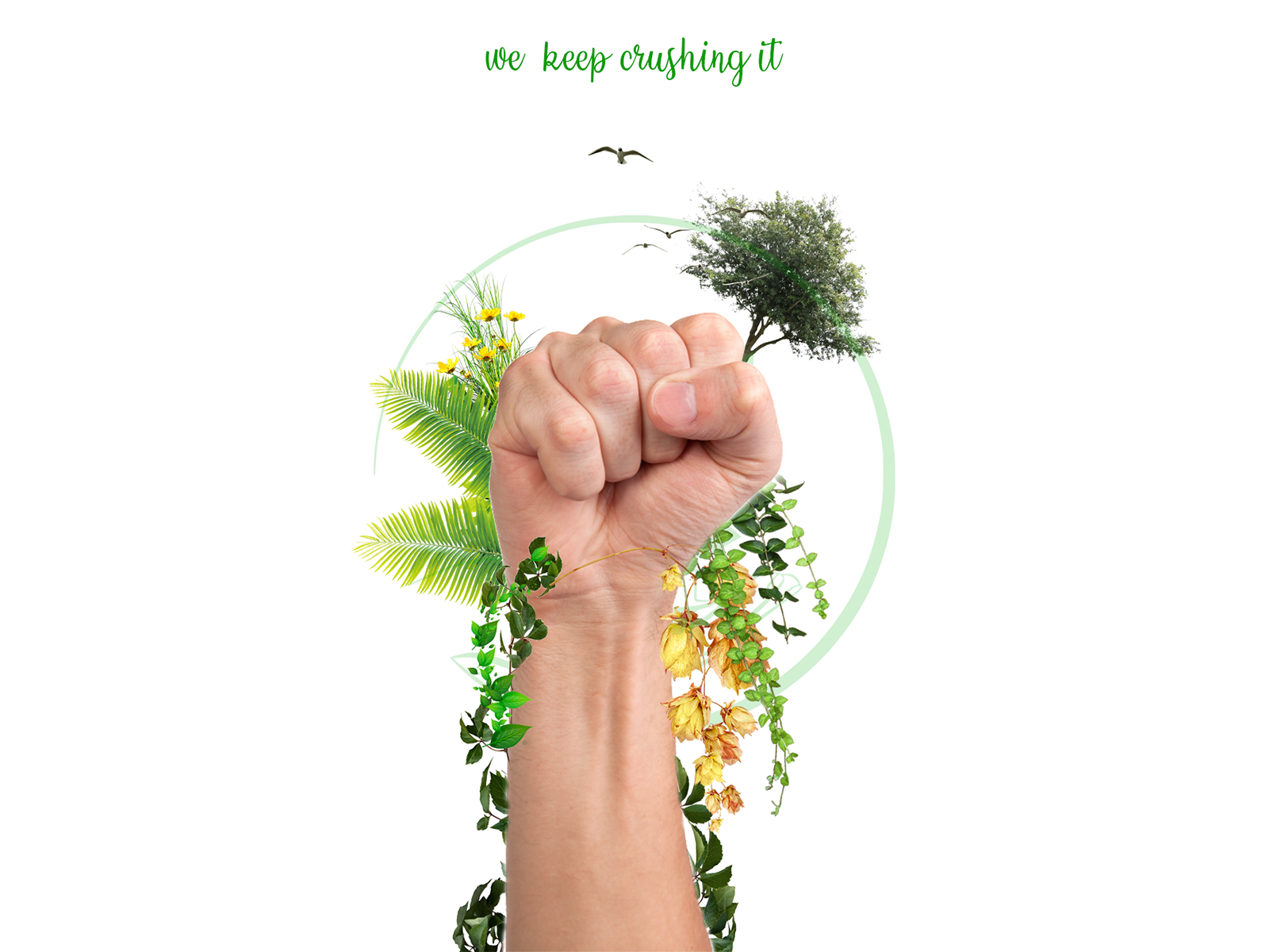 Nature poster design by atif hussain on Dribbble