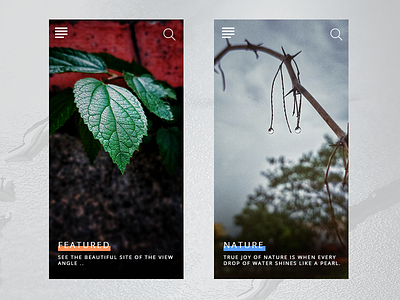 Article Cards design blog cards grid minimal minimalistic photography portfolio shotononeplus