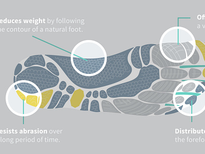 Qualities of a Minimalistic Running Shoe anatomy detail foot footwear illustration illustrator running shoe spotlight textile vector