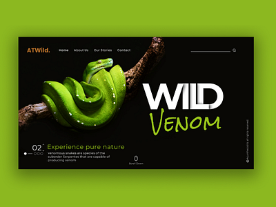 ATWild - A wildlife exploring page design design dribbble figma ui uidesign uitrends webdesign webdesigner webdevelopment