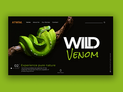 ATWild - A wildlife exploring page design