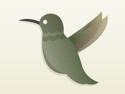 Hummingbird hummingbird illustration noise vector