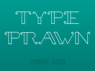 Prawn delicate font thin type typeface typography