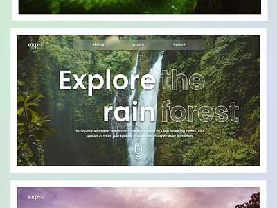 expr - Explore the rainforest Web UI Example Concept design figma graphic design rainforest ui ux web webdesign