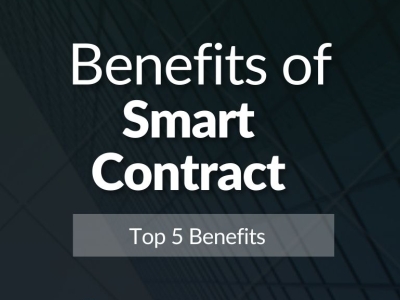 Benefits Of Smart Contract Audits By Dani Chritian On Dribbble