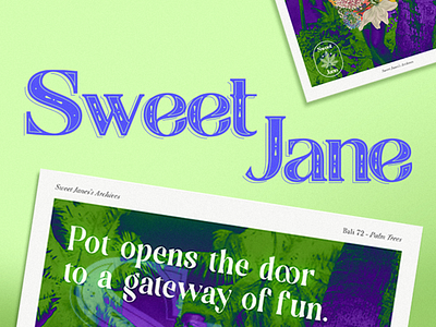 Sweet Jane branding graphic design logo typography