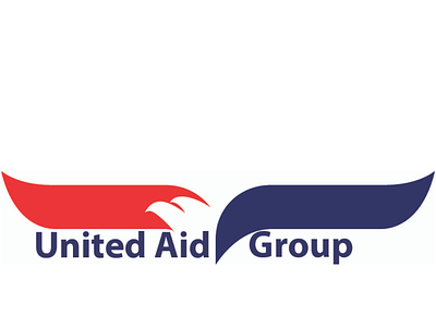 United Aid Group's Org Chart