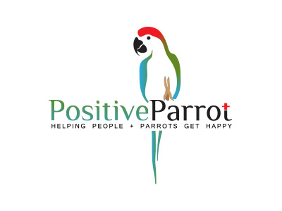 Positive Parrot bird colors parrot pet singing